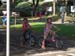 SAM_8318