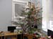 SAM_8948