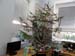 SAM_8949